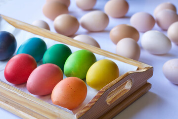 group of hen eggs emptied and colored