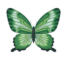 Green Butterfly Icon