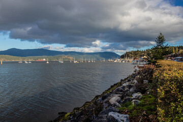 Wall Mural - Boats anchored in a harbour at Cowichan Bay