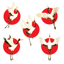 Vector Set Of Illustrations Bird Crane. White Stork .