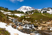 Early Summer At Mount Rainier With Edith Creek Flowing Past Snow Patches In Front Of The Mountain