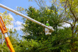 Seasonal pruning trees at the springtime with tree care with hydraulic ramp