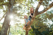 Two Girls Climbing A Tree