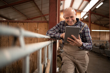 Wall Mural - Portrait of senior farmer using tablet computer and observing domestic animals in farmhouse.