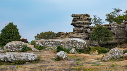 Wall Mural - Scenic view of Brimham Rocks in Yorkshire Dales National Park