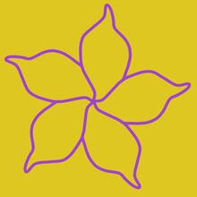 Kwiat Na żółtym Tle - Obrys
