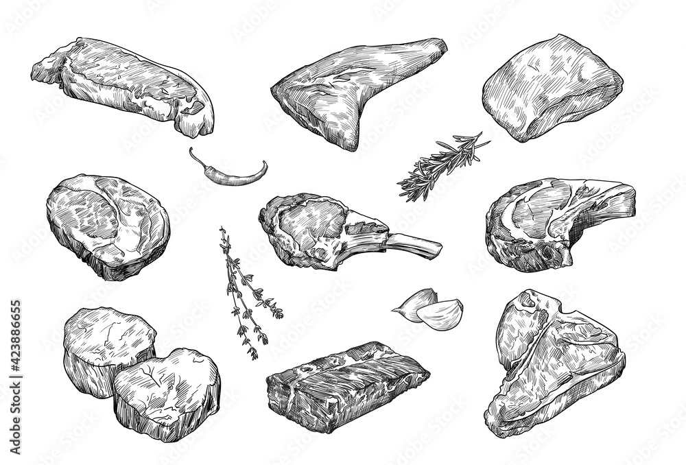 Beefsteaks hand drawn vector illustration set. Engraved sketches of ...