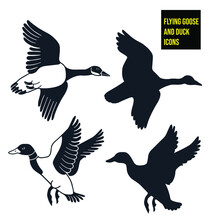 Flying Goose And Duck Icons - Stock Illustration. These Icons Are Associated With A Flying Goose And Duck In Black And White And As A Silhouette.