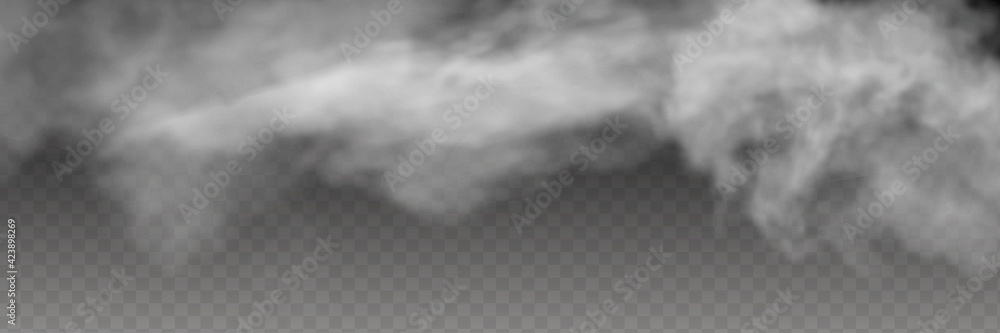 Fog or smoke isolated transparent special effect. White vector cloudiness, mist or smog background. - obrazy, fototapety, plakaty 