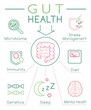© Double Brain - Gut health vertical poster. Editable vector illustration