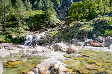 stream in the forest