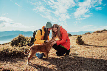 two friends are playing with a dog in nature