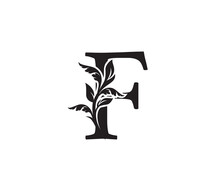 Classic Letter F Heraldic Logo. Vintage Classic Ornate Letter Vector.