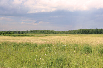 Russian field