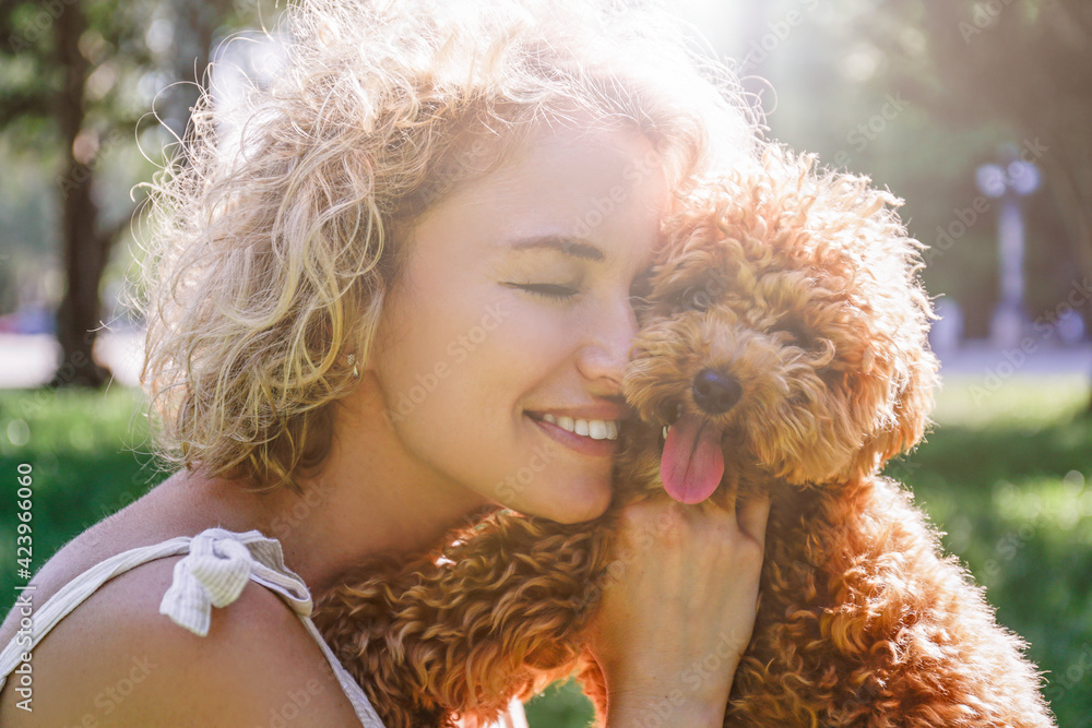 Adorable maltipoo puppy in arms of its loving owner. Adult woman outdoors playing with her small adorable doggy in the park. A hybrid between the maltese dog and miniature poodle. Close up, copy space - obrazy, fototapety, plakaty 
