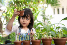 Active Asian Little Girl Watching On The Pot Of The Plant To Learn How The Plant Is Growing In The Garden Outside The House, Concept Of Kid Learning Activity For The Nature And Planting.