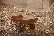 Old Rusty Cart On Wheels Stands On The Ground In The Garden