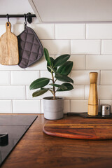 Hanging kitchen with white tiles wall and wood tabletop. Green plant on kitchen background