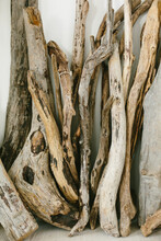 
Large Driftwood Found On The Beach. Used For Decoration In The Living Room. Photography With Film Noise