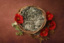 Newborn Photography Digital Background Prop. Wicker Basket With Green Fur And Red Flowers On A Painted Canvas.	