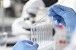 Scientist chemist inserting cotton swab into glass test tube closeup