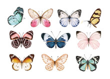 Watercolor Colorful Butterflies, Isolated On White Background. Blue, Yellow, Pink And Red Butterfly Spring Illustration