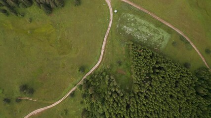 Wall Mural - aerial video of a forest path passing through a picturesque summer meadow and coniferous forest, the