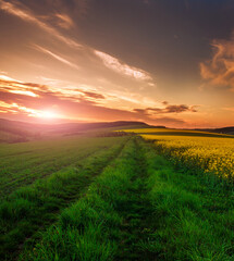  Spring landscape green road lush grass on background fields, hills and dramatic colorful sunset sky and clouds