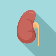 Poster - Anatomical kidney icon, flat style