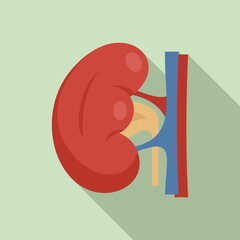 Sticker - Body kidney icon, flat style