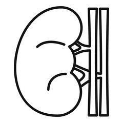 Canvas Print - Renal kidney icon, outline style