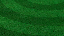 Green Grass Texture Background. A Perfectly Manicured Sports Field / Pitch / Garden Lawn Wallpaper With Circular Stripes.
