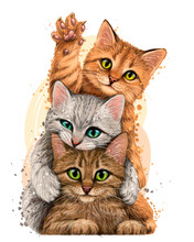 Cats. Wall Sticker. Color, Graphic Portrait Of Three Cute Kittens On A White Background In Watercolor Style. Digital Vector Graphics.  Individual Layers