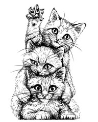 Wall Mural - cats. wall sticker. graphic, black and white sketch depicting three cute kittens on a white backgrou