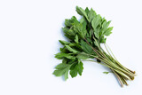 Fototapeta  - White mugwort leaves on white background.