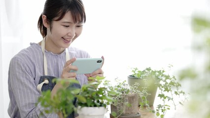 Wall Mural - 観葉植物をスマホで撮影する女性