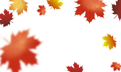Wall Mural - autumn falling leaves.