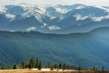 Wall Mural - Beautiful sunrise in the Carpathian mountains with fog and dramatic sky	
