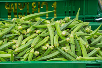 
Whole raw green okra vegetable food background