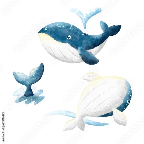 可愛いクジラの水彩画風イラスト3パターン Ilustracion De Stock Adobe Stock