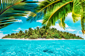 Whole tropical island within atoll in tropical Ocean on a summer day. Uninhabited and wild subtropical isle with palm trees. Equatorial part of the ocean, tropical island resort.