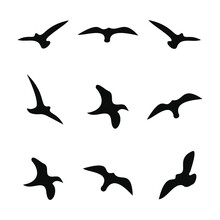 Flying Bird Silhouette Icons Set