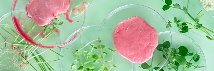 Cultivated steak, meat from the plant stem cell, New food innovation, no killing. Laboratory grown meat background