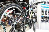 Fototapeta Na drzwi - Bicycle in sport goods store