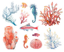 Watercolor Sea Life Set: Blue And Red Coral, Seahorses, Fish, Urchin. Natural Illustrations.Objects Isolated On White Background. Marine Animal Artwork