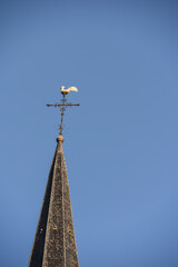 Poster - religion eglise Belgique Wallonie Liberchies patrimoine culte clocher coq