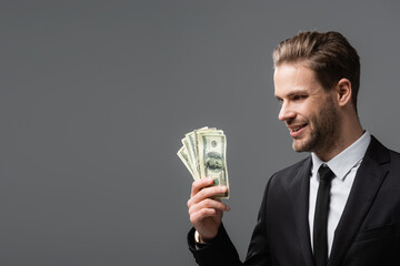 Wall Mural - pleased executive manager holding dollars isolated on grey