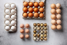 Different Types Of Chicken Eggs, Guinea Fowl And Quail Egg In Eggs Cartons On Gray Background.  Top View.