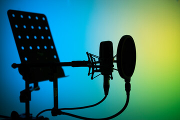 Wall Mural - Voiceover studio microphone