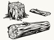 Wood logs and stump concept
